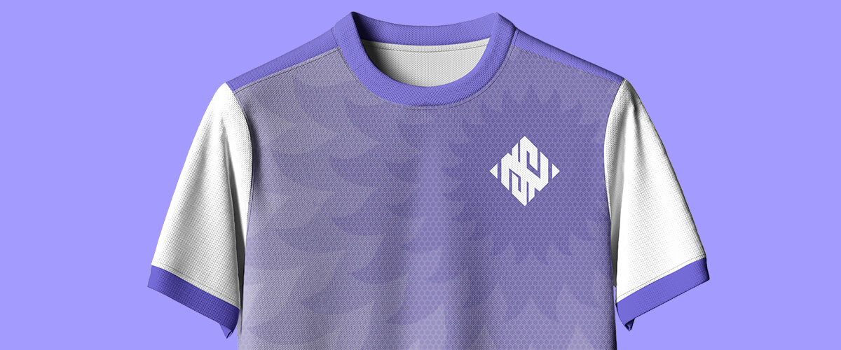 Camiseta visitante